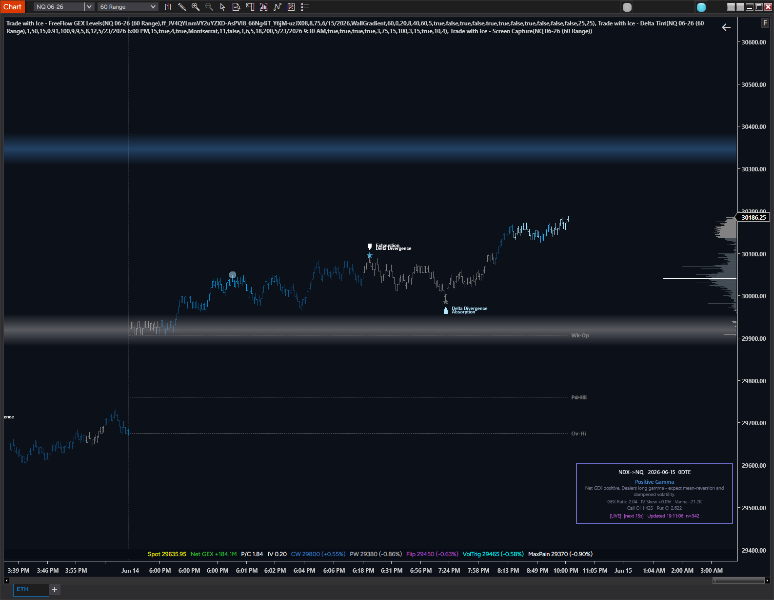 GEX combined with Delta Tint and Screen Capture on a personal execution chart